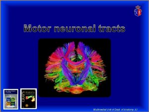 Multimedial Unit of Dept of Anatomy JU A