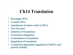 Ch 14 Translation Messenger RNA Transfer RNA Attachment