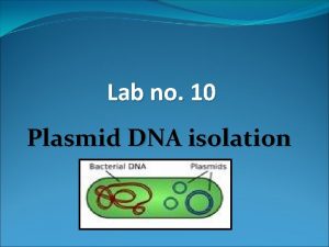 Dna extraction