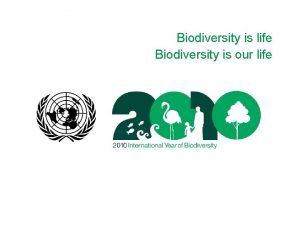 Biodiversity is life Biodiversity is our life International