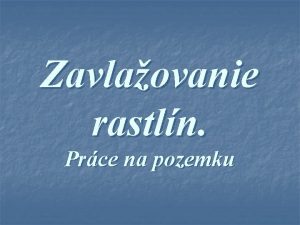 Zavlaovanie rastln Prce na pozemku Zavlaovanie zalievanie n