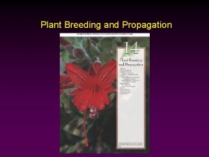 Plant Breeding and Propagation Outline Crop Plant Evolution