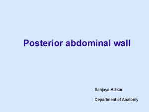 Posterior abdominal wall Sanjaya Adikari Department of Anatomy