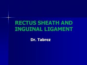 RECTUS SHEATH AND INGUINAL LIGAMENT Dr Tabrez Rectus