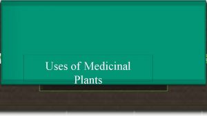 Uses of Medicinal Plants Introduction Treatment with medicinal