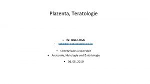 Plazenta Teratologie Dr Ildik Bdi bodi ildikomed semmelweisuniv