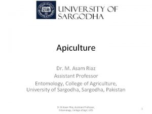 Apiculture Dr M Asam Riaz Assistant Professor Entomology