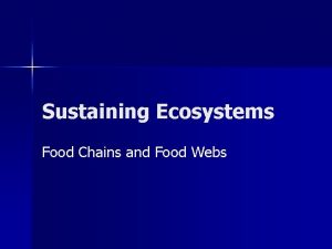 Sustaining Ecosystems Food Chains and Food Webs Terms