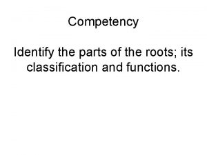 Competency Identify the parts of the roots its