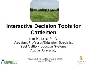 Interactive Decision Tools for Cattlemen Kim Mullenix Ph