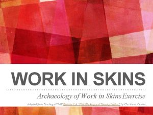 WORK IN SKINS Archaeology of Work in Skins