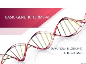 BASIC GENETIC TERMSVII DVM Nket BLGEN Ph D