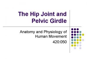 The Hip Joint and Pelvic Girdle Anatomy and