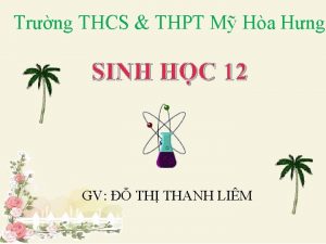 Trng THCS THPT M Ha Hng BI 34