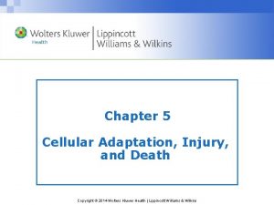 Chapter 5 Cellular Adaptation Injury and Death Copyright