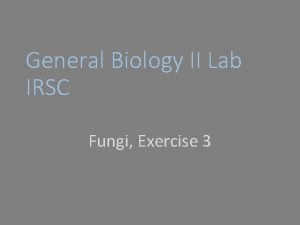 General Biology II Lab IRSC Fungi Exercise 3