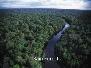 Rain Forests Rainforests of the World Rainforests cover