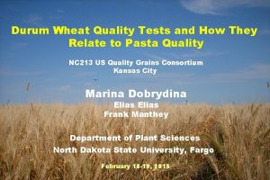 Durum Wheat Quality Tests and How They Relate