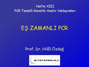 Hafta XIII PCR Temelli Genetik Analiz Yaklamlar E