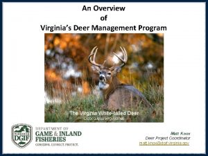 An Overview of Virginias Deer Management Program Image