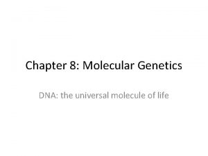 Chapter 8 Molecular Genetics DNA the universal molecule