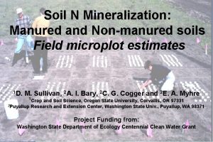 Soil N Mineralization Manured and Nonmanured soils Field