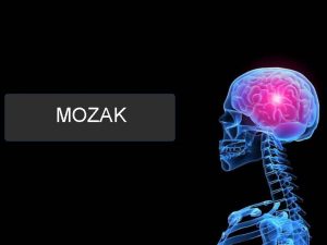 MOZAK MOZAK Mozak je vrlo njean i osjetljiv