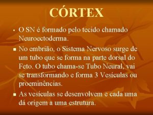 CRTEX n n O SN formado pelo tecido