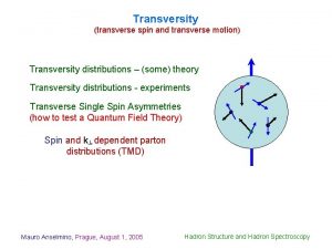 Transversity transverse spin and transverse motion Transversity distributions