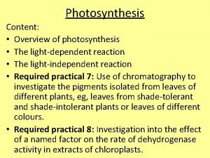 Photosynthesis Content Overview of photosynthesis The lightdependent reaction