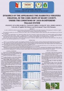 DYNAMICS OF THE APPEARANCE THE DIABROTICA VIRGIFERA IN