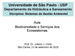 Universidade de So Paulo USP Departamento de Hidrulica