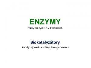 ENZYMY ecky en zme v kvasnicch Biokatalyztory katalyzuj