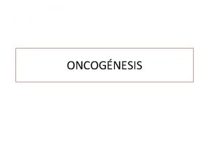 ONCOGNESIS DIFERENCIAS ENTRE UNA CLULA NORMAL Y UNA