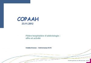 COPAAH 23 11 2012 Filire hospitalire daddictologie offre