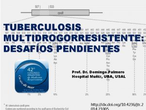 TUBERCULOSIS MULTIDROGORRESISTENTE DESAFOS PENDIENTES Prof Dr Domingo Palmero