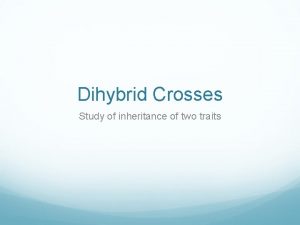 Dihybrid Crosses Study of inheritance of two traits