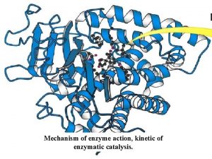 Mechanism of enzyme action kinetic of enzymatic catalysis