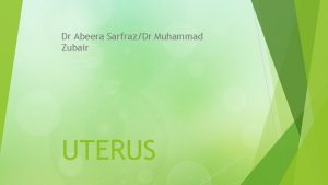 Dr Abeera SarfrazDr Muhammad Zubair UTERUS The uterus