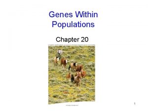 Genes Within Populations Chapter 20 1 Genetic Variation