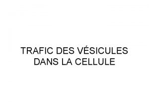 TRAFIC DES VSICULES DANS LA CELLULE TRAFIC VSICULAIRE