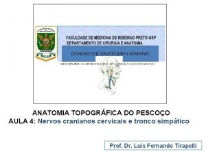 ANATOMIA TOPOGRFICA DO PESCOO AULA 4 Nervos cranianos