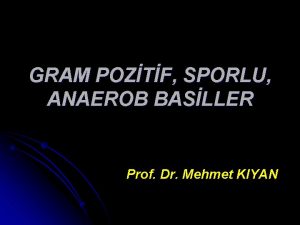 GRAM POZTF SPORLU ANAEROB BASLLER Prof Dr Mehmet