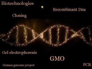 Biotechnologies Recombinant Dna Cloning Gel electrophoresis GMO Human