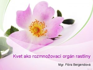 Kvet ako rozmnoovac orgn rastliny Mgr Flra Bergendiov