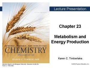 Lecture Presentation Chapter 23 Metabolism and Energy Production