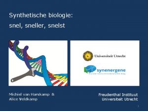 Synthetische biologie snel sneller snelst Michiel van Harskamp