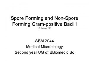 Spore Forming and NonSpore Forming Grampositive Bacilli 10