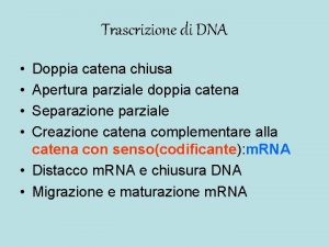 Trascrizione di DNA Doppia catena chiusa Apertura parziale