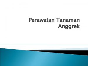 Perawatan Tanaman Anggrek TENTANG ANGGREK Anggrek merupakan salah